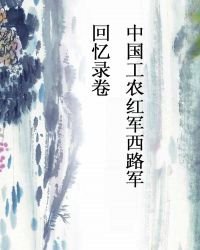 中国工农红军西路军·回忆录卷